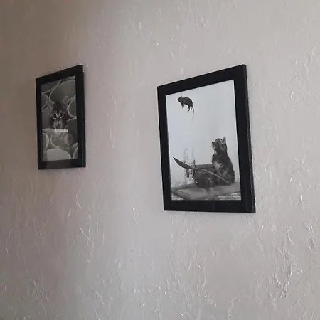 D'hote - La Ruche Des Bleuets 住宿加早餐酒店